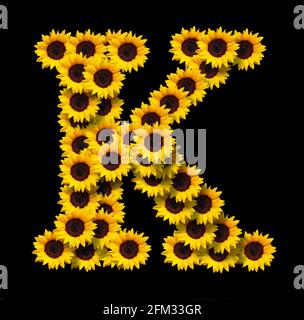 Großbuchstabe K aus gelben Sonnenblumen Blumen isoliert auf schwarzem Hintergrund. Design-Element für Love Concepts Designs. Ideal für Muttertag und s Stockfoto