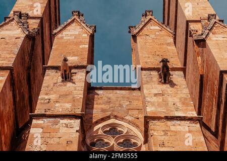 Wasserspeier an der Fassade der gotischen römisch-katholischen Kathedrale Santa Maria von Palma Kathedrale Santa Maria von Palma, La Seu in Palma de Mallorca, Spanien Stockfoto