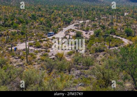 Das Sus Picnic Area wurde vom Civilian Conservation Corps während der Großen Depression, Saguaro National Park, Tucson Mountain District, Ari, entwickelt Stockfoto