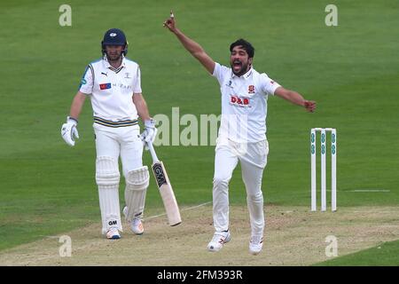 Mohammad Amir von Essex behauptet das Dickicht von Ben Coad während des Yorkshire CCC gegen Essex CCC, Specsavers County Championship Division 1 Cricket in Scarborou Stockfoto