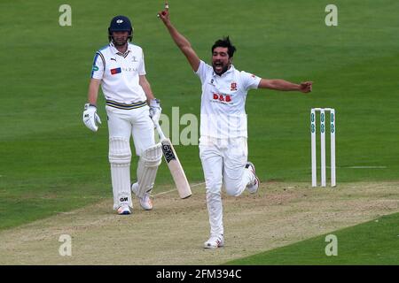 Mohammad Amir von Essex behauptet das Dickicht von Ben Coad während des Yorkshire CCC gegen Essex CCC, Specsavers County Championship Division 1 Cricket in Scarborou Stockfoto