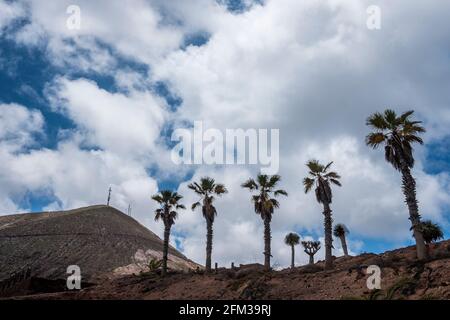 Gran Canaria, eine spanische Kanarische Insel vor der Nordwestküste von Afrika. El Sobradillo. Stockfoto