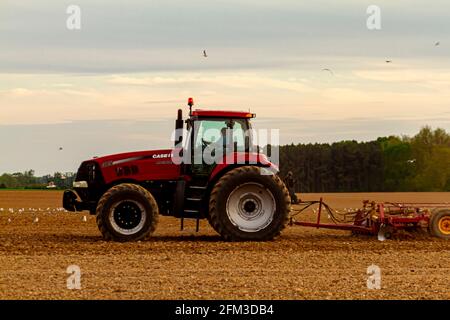 Chestertown, MD, USA 05-02-2021: Roter Sechsradkoffer IH Magnum 305 mit Kabine pflügt im Frühjahr ein leeres Agrarfeld. Der Pflug A Stockfoto
