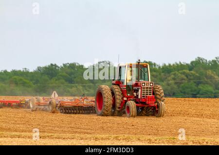 Chestertown, MD, USA 05-02-2021: Ein roter Sechsrad-International 1586-Traktor mit Kabine pflügt im Frühjahr ein leeres Agrarfeld. Bildaufnahme Stockfoto