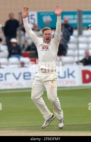 Simon Harmer aus Essex mit einem Appell für das Wicket von Paul Stirling während des Essex CCC gegen Middlesex CCC, Specsavers County Championship Division 1 Cric Stockfoto