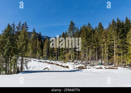 Winterliche Landschaft mit modifizierter Langlaufloipe im immergrünen Wald British Columbia Kanada. Stockfoto