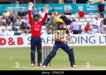 James Foster von Essex mit einem erfolgreichen Appell für die Weide von Aneurin Donald während Essex Eagles vs Glamorgan, Royal London One-Day Cup Cricket AT Stockfoto