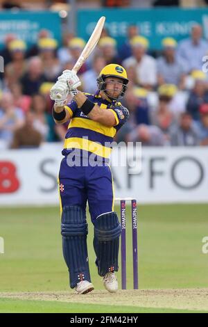 Colin Ingram erreicht sechs Läufe für Glamorgan während Essex Eagles vs Glamorgan, NatWest T20 Blast Cricket auf dem Essex County Ground am 29. Juli 2016 Stockfoto