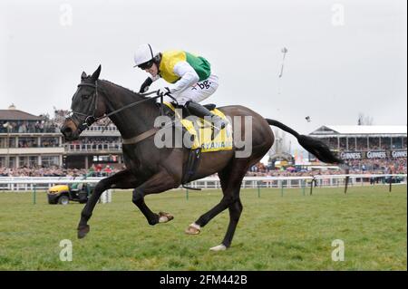 RACING CHELTENHAM FESTIVAL 2010 3. TAG 18/3/10. DIE VERFOLGUNGSJAGD VON RYANAIR TONY MCCOY AUF ALBERTAS LÄUFT NACH DEM LETZTEN. BILD DAVID ASHDOWN Stockfoto