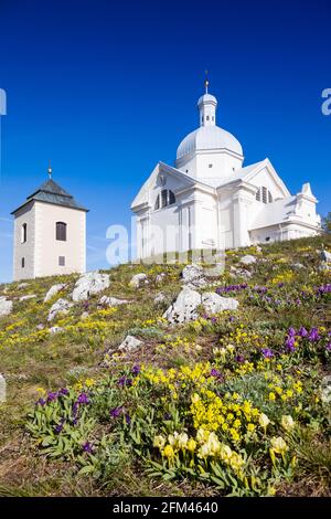 Svaty kopecek, Mikulov, Jizni Morava, Ceska republika / der Holly-Hügel, Mikulov-Stadt, Südmähren, Tschechische republik Stockfoto
