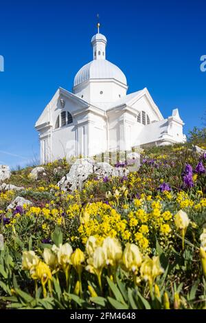 Svaty kopecek, Mikulov, Jizni Morava, Ceska republika / der Holly-Hügel, Mikulov-Stadt, Südmähren, Tschechische republik Stockfoto