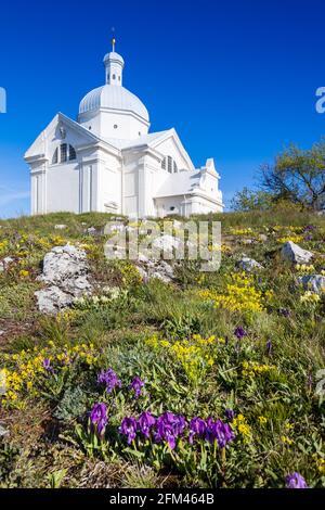 Svaty kopecek, Mikulov, Jizni Morava, Ceska republika / der Holly-Hügel, Mikulov-Stadt, Südmähren, Tschechische republik Stockfoto