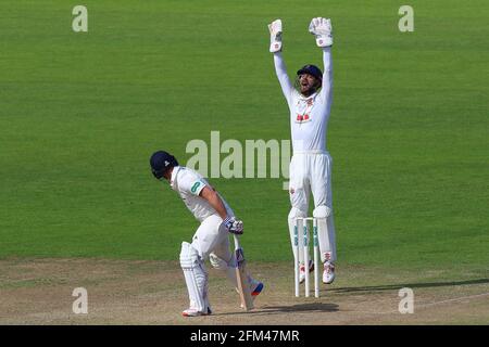 James Foster von Essex mit einem erfolgreichen Appell für das Wicket von Chris Cooke während Glamorgan CCC gegen Essex CCC, Specsavers County Championship Divisio Stockfoto