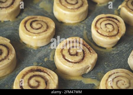 Rohlinge zum Backen von Zimtrollen auf Backblech mit Pergament Papier Stockfoto