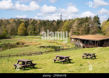 Das Besucherzentrum im Washington Wetland Center, Nordostengland, Großbritannien Stockfoto