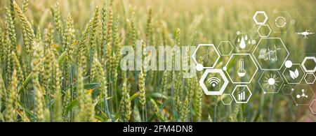Konzept des smart Landwirtschaft und moderne Technik Stockfoto