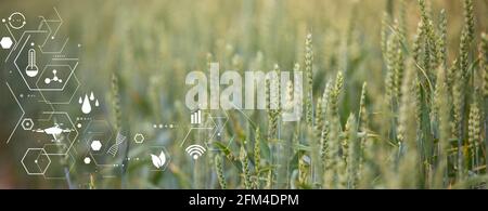 Konzept des smart Landwirtschaft und moderne Technik Stockfoto