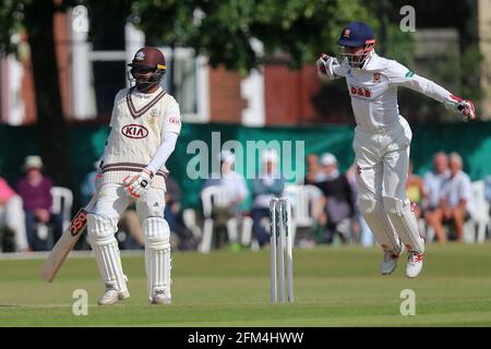 Freuen Sie sich über James Foster von Essex, als er Kumar Sangakkara während Surrey CCC gegen Essex CCC, Spe, von der Bowlingbahn von Simon Harmer abweisen kann Stockfoto