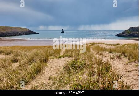 Broad Haven South Beach in der Nähe von Bosherton, Pembrokeshire, Wales Stockfoto