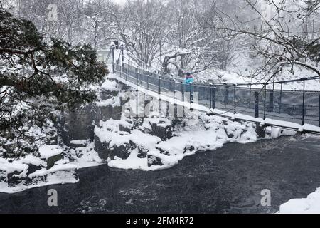 Ein Walker genießt die Aussicht auf den Fluss Tees von Wynch Bridge während eines schweren Schneesturms, Bowlees, Teesdale, County Durham, Großbritannien Stockfoto