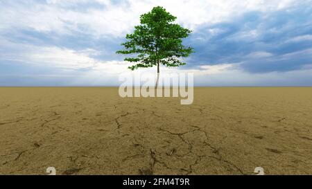 Konzept oder konzeptuelle Wüstenlandschaft mit einem grünen Baum als Metapher für globale Erwärmung und Klimawandel. Stockfoto