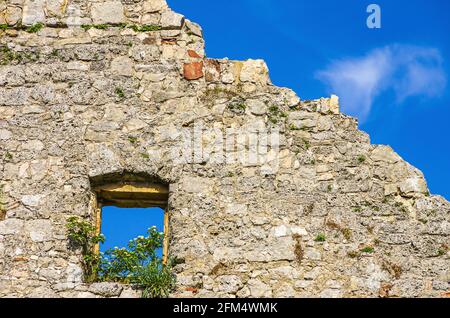 Einfensterbewachsene Blütenstände in den Überresten eines Gebäudes, mittelalterliche Burgruinen von Hohenurach, Bad Urach, Schwäbische Alb, Baden-Württemberg, Deutschland. Stockfoto