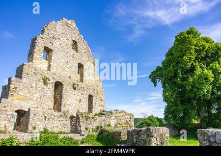 Giebelseite eines baufälligen Gebäudes, mittelalterliche Burgruinen von Hohenurach, Bad Urach, Schwäbische Alb, Baden-Württemberg, Deutschland. Stockfoto