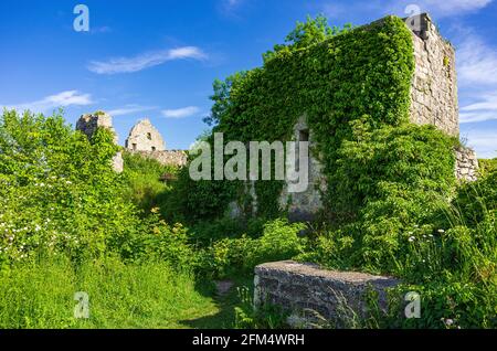 Mittelalterliche Burgruinen von Hohenurach, Bad Urach, Schwäbische Alb, Baden-Württemberg, Deutschland. Stockfoto