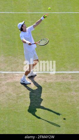 DAVID CUP TENNIS IN WIMBLEDON. GROSSBRITANNIEN V ÖSTERREICH 21/9/2008. ANDY MURRAY. BILD DAVID ASHDOWN Stockfoto