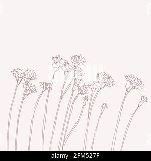 Kräuter und Blumen Vektor Skizze Illustration, wilde Gräser und Blumen wiegen im Wind, isoliert auf hellem Hintergrund Stock Vektor