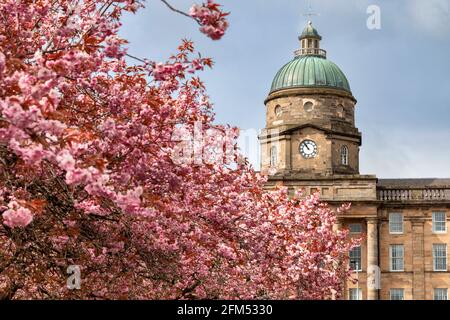 DR GRAUT KRANKENHAUS ELGIN MORAY SCHOTTLAND MIT ROSA KIRSCHBLÜTE PRUNUS VOR DEM HAUPTGEBÄUDE UND KUPPEL MIT EINE UHR Stockfoto