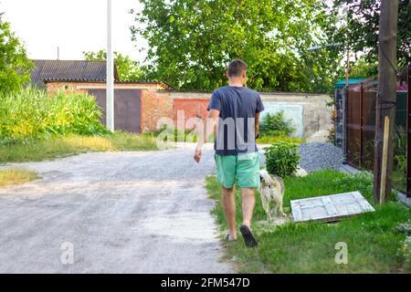 Unschärfe junger Mann zu Fuß mit einem Hund, sibirische laika Husky, im Dorf, auf dem Land. Sommer, Rückansicht. Das Haustier schleppt den Besitzer mit Gewalt Stockfoto