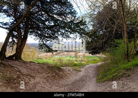 Der North Downs Way Wanderweg auf White Downs in der Surrey Hills an einem Frühlingstag in der Nähe von Dorking England Stockfoto