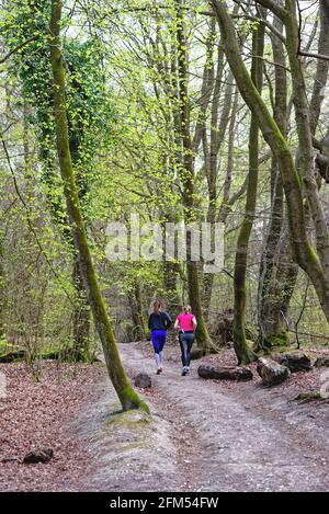 Rückansicht von zwei jungen Läuferinnen in einem Wald Pfad in den Surrey Hills in der Nähe von Dorking England Stockfoto