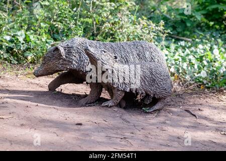 Der versteckte Garten im Bishops Knoll Bristol, Teil des Woodland Trust. Igel-Statuen oder Kunstwerke Stockfoto