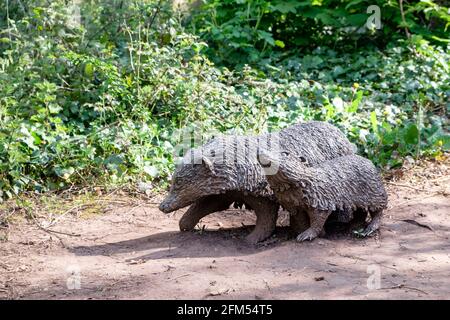 Der versteckte Garten im Bishops Knoll Bristol, Teil des Woodland Trust, Hedgehog-Statuen oder Kunstwerke Stockfoto