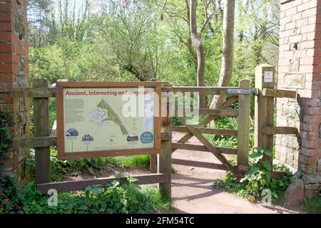 Der versteckte Garten im Bishops Knoll Bristol, Teil des Woodland Trust Stockfoto