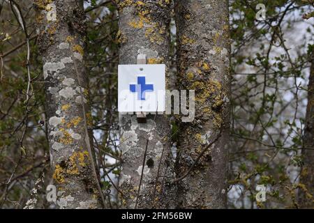 Das blaue Kreuz-Symbol markiert einen Wanderweg auf einem Baum im Wald. Stockfoto