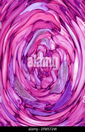 Ölfarben Texturdarstellung in gradient violett und hot pink Für abstrakten Hintergrund Stockfoto