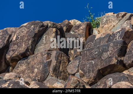 Petroglyphen am Signal Hill, von Hohokam-Leuten von 450 bis 1450 u.Z., Saguaro National Park, Tucson Mountain District, Arizona, USA Stockfoto