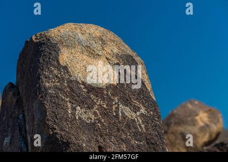 Petroglyphen am Signal Hill, von Hohokam-Leuten von 450 bis 1450 u.Z., Saguaro National Park, Tucson Mountain District, Arizona, USA Stockfoto