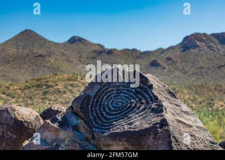 Petroglyphen am Signal Hill, von Hohokam-Leuten von 450 bis 1450 u.Z., Saguaro National Park, Tucson Mountain District, Arizona, USA Stockfoto