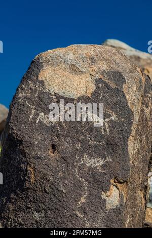 Petroglyphen am Signal Hill, von Hohokam-Leuten von 450 bis 1450 u.Z., Saguaro National Park, Tucson Mountain District, Arizona, USA Stockfoto