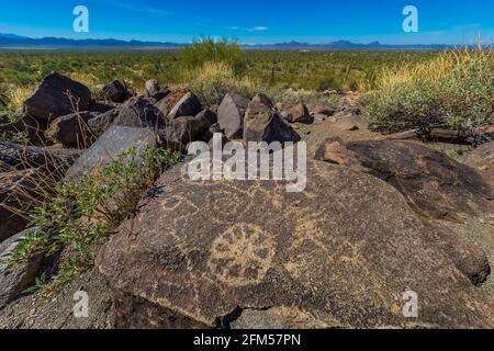 Petroglyphen am Signal Hill, von Hohokam-Leuten von 450 bis 1450 u.Z., Saguaro National Park, Tucson Mountain District, Arizona, USA Stockfoto