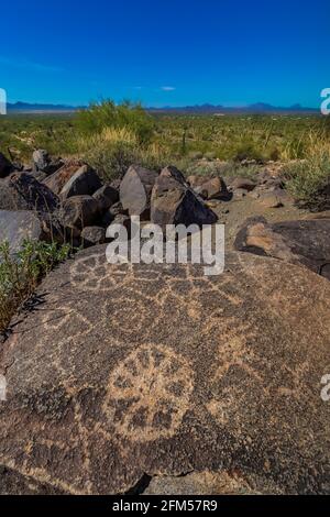 Petroglyphen am Signal Hill, von Hohokam-Leuten von 450 bis 1450 u.Z., Saguaro National Park, Tucson Mountain District, Arizona, USA Stockfoto