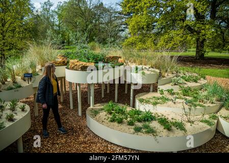 London, Großbritannien. 6 Mai 2021. Das Herzstück sind sechs ‘plantscapes', die kontrastierende Landschaften in ganz Großbritannien darstellen. Jede Landschaft - Sanddüne (im Bild); Moor; Sumpf und Wiese; Hecken; Wald; Und Urban - wird durch die vorrangigen Lebensräume des Vereinigten Königreichs im Aktionsplan zur biologischen Vielfalt inspiriert. Entworfen von Vaughn Bell, einem Künstler aus Seattle, wurde jedes von Kews Team von Gartenbauexperten entworfen. Kredit: Guy Bell/Alamy Live Nachrichten Stockfoto