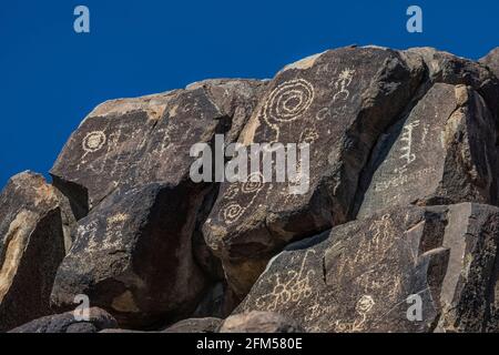 Petroglyphen am Signal Hill, von Hohokam-Leuten von 450 bis 1450 u.Z., Saguaro National Park, Tucson Mountain District, Arizona, USA Stockfoto