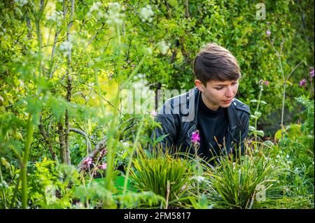 London, Großbritannien. 6 Mai 2021. Das Herzstück sind sechs ‘plantscapes', die kontrastierende Landschaften in ganz Großbritannien darstellen. Jede Landschaft - Sanddüne; Moorland; Sumpf und Wiese; Hecken (im Bild); Wald; Und Urban - wird durch die vorrangigen Lebensräume des Vereinigten Königreichs im Aktionsplan zur biologischen Vielfalt inspiriert. Entworfen von Vaughn Bell, einem Künstler aus Seattle, wurde jedes von Kews Team von Gartenbauexperten entworfen. Kredit: Guy Bell/Alamy Live Nachrichten Stockfoto