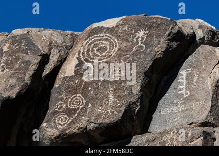 Petroglyphen am Signal Hill, von Hohokam-Leuten von 450 bis 1450 u.Z., Saguaro National Park, Tucson Mountain District, Arizona, USA Stockfoto