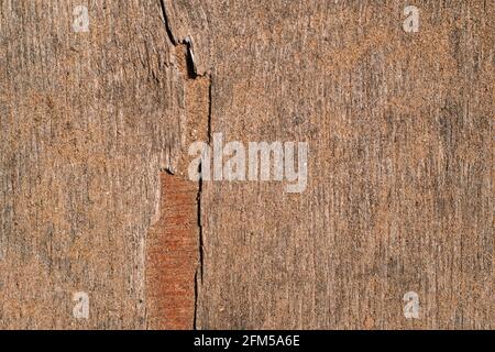 Sperrholzplatte mit Sand, nahtlose Oberfläche. Schöner Holzhintergrund. Stockfoto